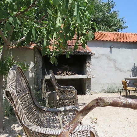 Guesthouse Dila Galovac  Bagian luar foto