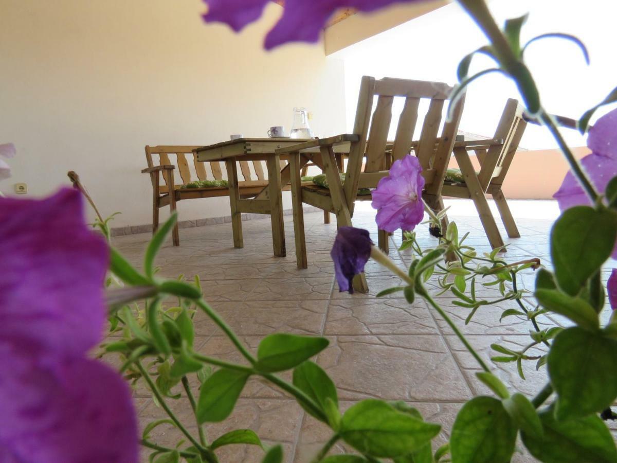 Guesthouse Dila Galovac  Bagian luar foto